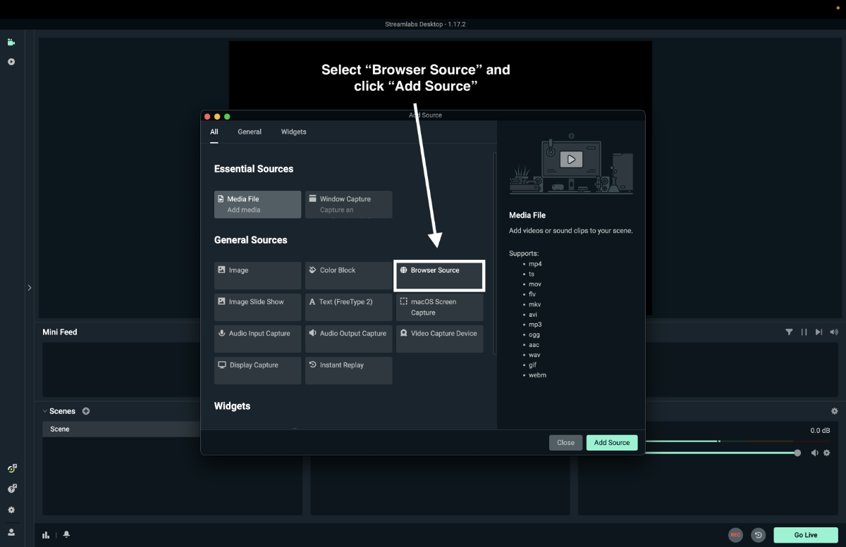 Select Browser Source as the input type