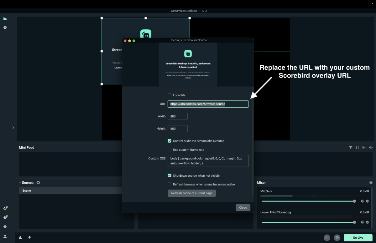 Clear the existing URL in the browser source properties
